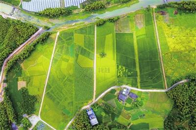 英山富硒产品怎么样呀（富硒厂家）-硒宝网