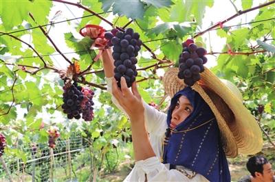 英山富硒产品怎么样呀（富硒厂家）-硒宝网