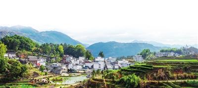 英山富硒产品怎么样呀（富硒厂家）-硒宝网