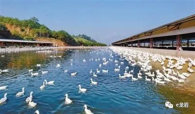 富硒农产品盈利点分析(富硒农产品市场分析)-硒宝网