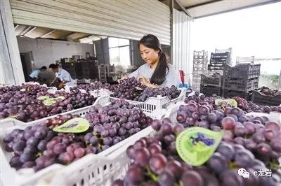 富硒农产品盈利点分析(富硒农产品市场分析)-硒宝网