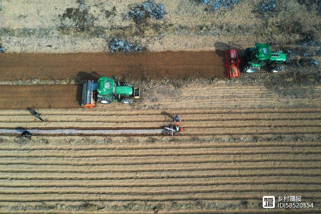 富硒农产品产地有哪些（富硒农作物）-硒宝网