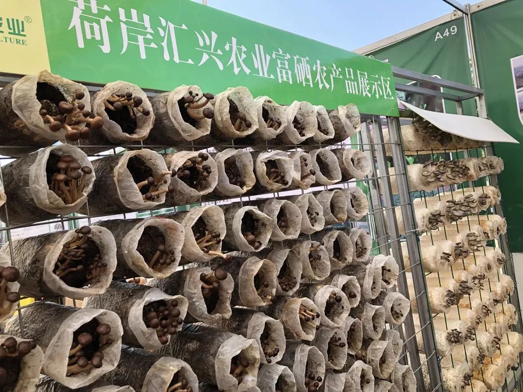 贵港市富硒农产品产业(贵港市富硒农产品展示中心)-硒宝网