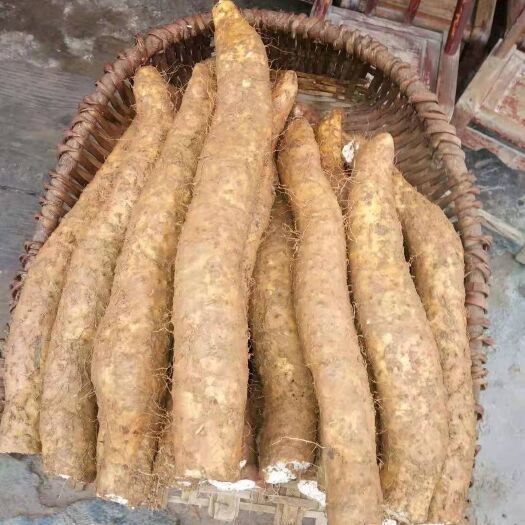 恩施有什么富硒农产品(恩施富硒产品是传销吗)-硒宝网