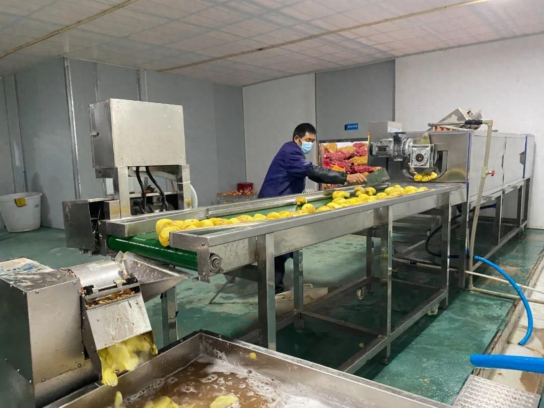 开阳富硒农产品有哪些（开阳富硒茶怎么样）-硒宝网