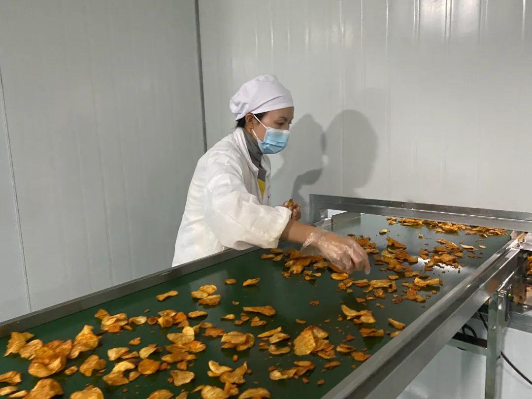 开阳富硒农产品有哪些（开阳富硒茶怎么样）-硒宝网