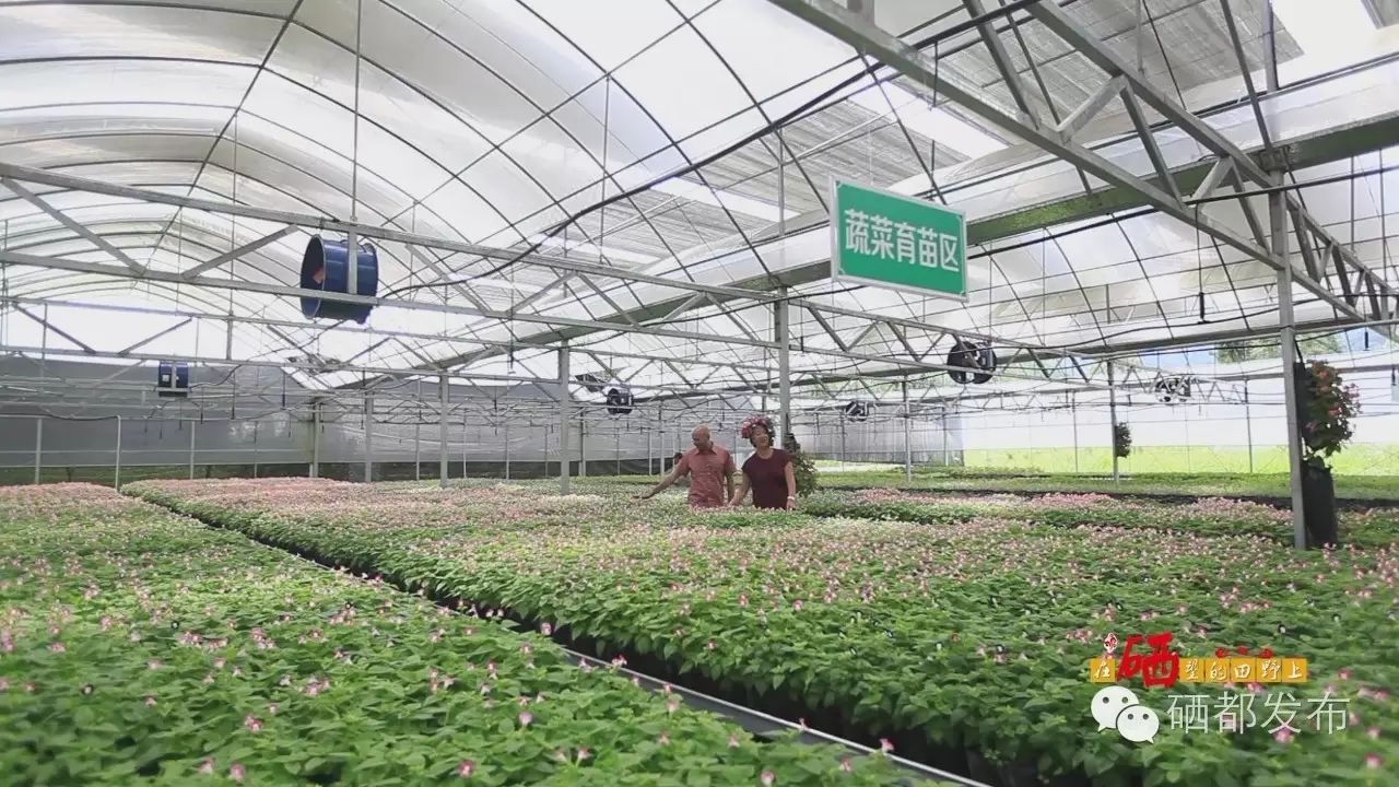 恩施市新塘乡富硒产品(恩施富硒村在哪里)-硒宝网