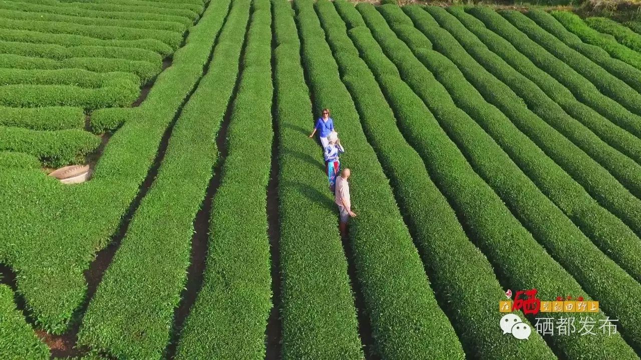 恩施市新塘乡富硒产品(恩施富硒村在哪里)-硒宝网