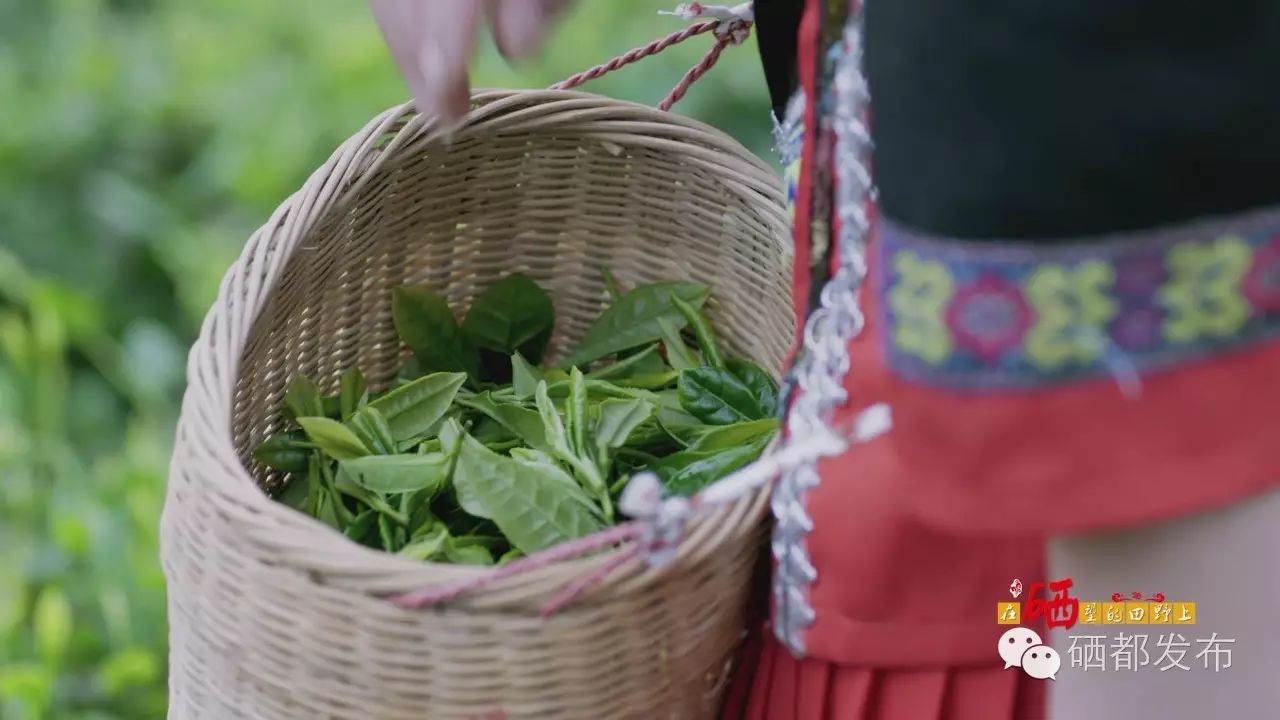 恩施市新塘乡富硒产品(恩施富硒村在哪里)-硒宝网