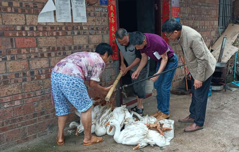 江津富硒农产品滞销吗(江津富硒产业大会2019)-硒宝网