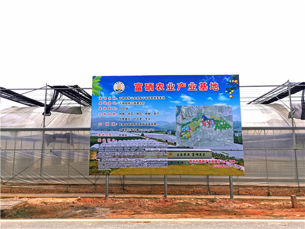 富硒农产品产地有哪些(富硒的农产品)-硒宝网