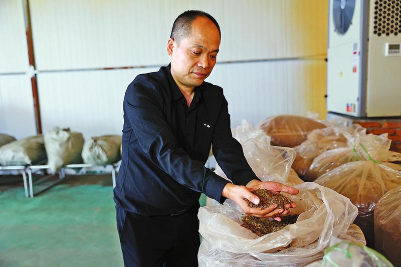 富硒食用菌产品里面加（食用菌里面加富硒产品是什么）-硒宝网