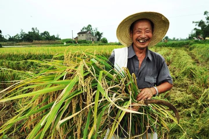 江津双福有富硒产品吗(江津富硒食品一览表)-硒宝网
