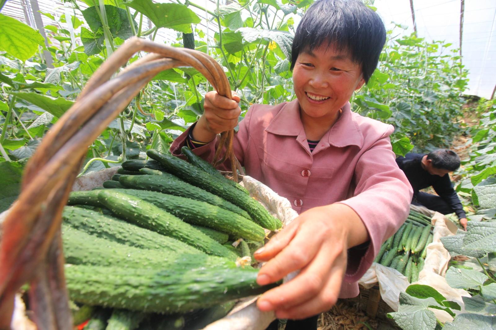 富硒宝是第几代产品?。ǜ晃ζ?硒宝网