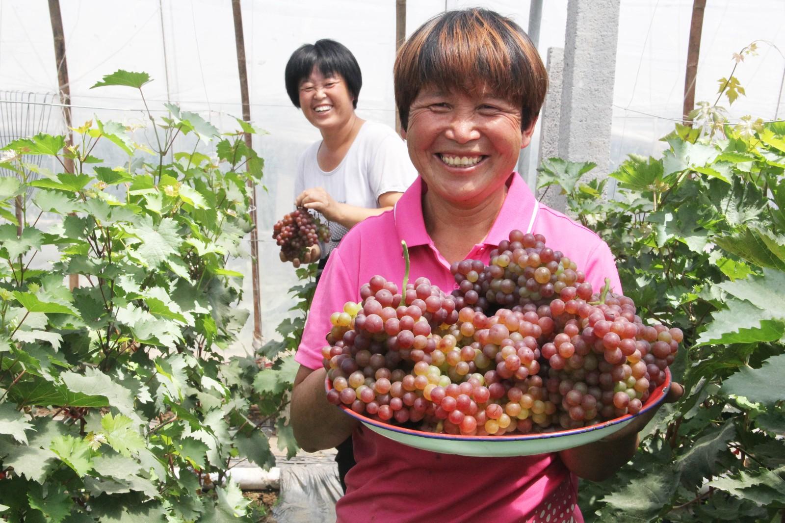 富硒宝是第几代产品啊(富硒宝片)-硒宝网