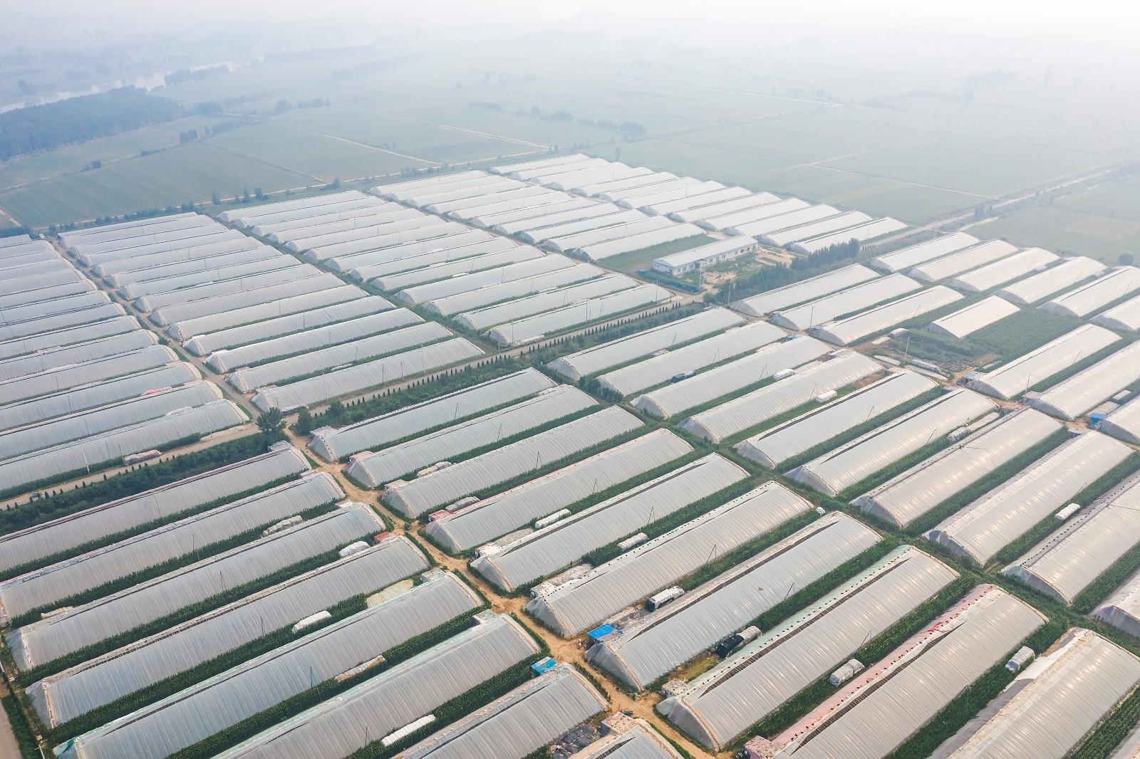 富硒宝是第几代产品啊(富硒宝片)-硒宝网