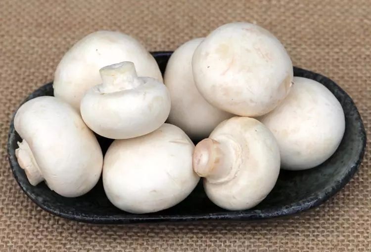 什么蔬菜补锌(蔬菜补锌的有哪些)-硒宝网