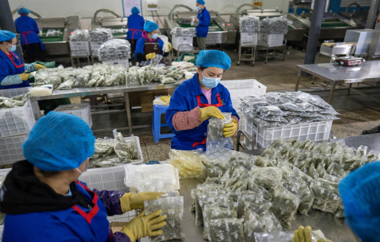 富硒产品收益怎么样?。ǜ晃返暮么Γ?硒宝网