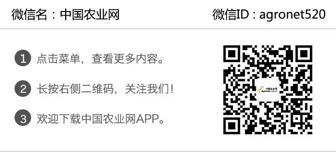 什么蔬菜补锌(蔬菜补锌用什么叶面肥)-硒宝网