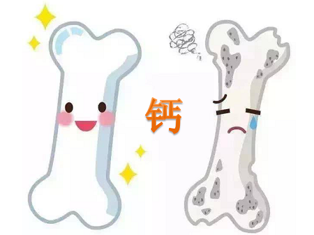 5岁儿童补钙哪种好(儿童补钙种类)-硒宝网