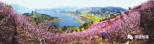 常德市富硒产品有那些（常德富硒大米）-硒宝网