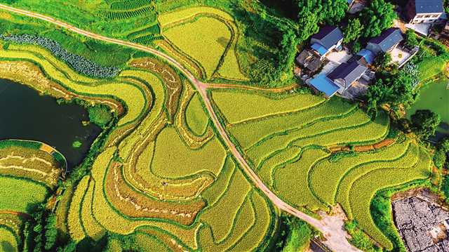 江津区富硒农产品对联（江津富硒食品一览表）-硒宝网