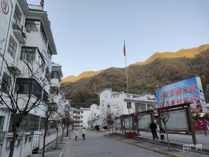 白河县富硒茶产品介绍（白河茶园）-硒宝网