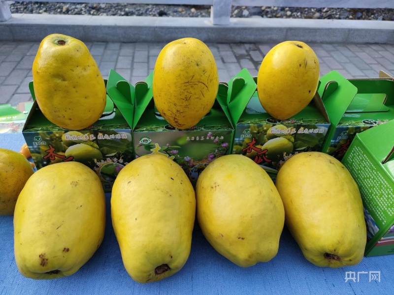 白河县富硒茶产品介绍（白河茶园）-硒宝网