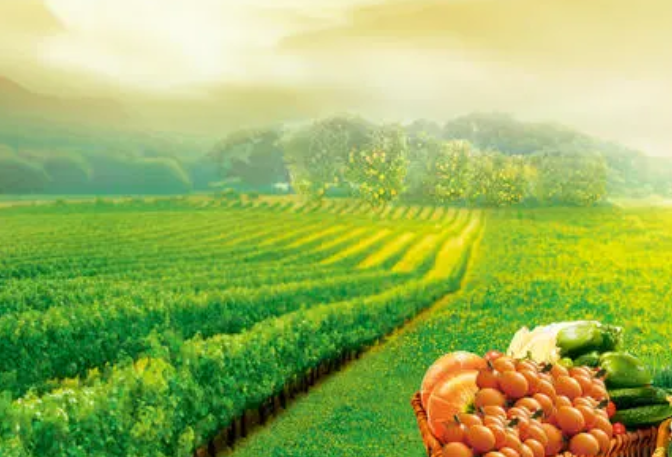 富硒农产品开发的意义(富硒农产品产业链)-硒宝网