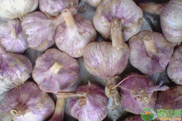 云南大理有富硒农产品（云南富硒在哪里）-硒宝网