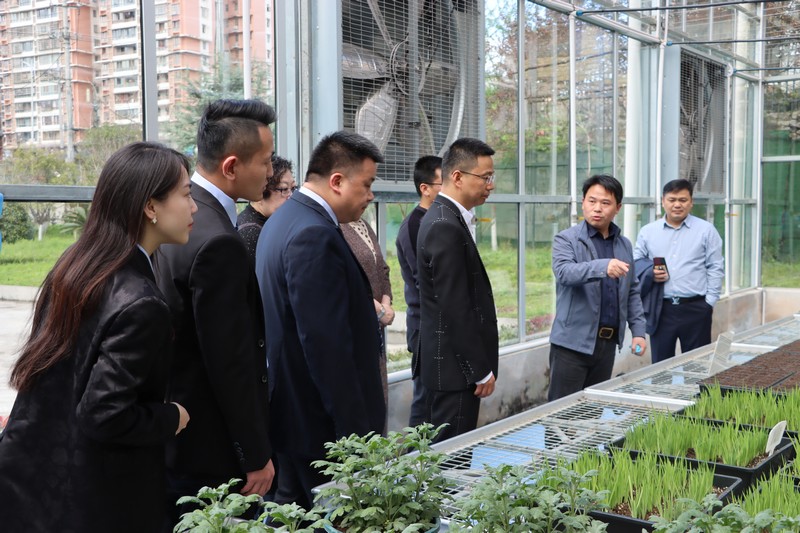 恩施市富硒产品有哪些（湖北恩施富硒农产品）-硒宝网