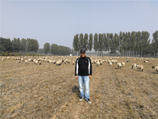 杂交构树是富硒产品吗（何为富硒产品）-硒宝网