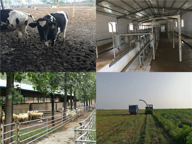 杂交构树是富硒产品吗（何为富硒产品）-硒宝网