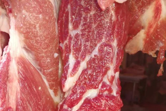 杂交构树是富硒产品吗（何为富硒产品）-硒宝网