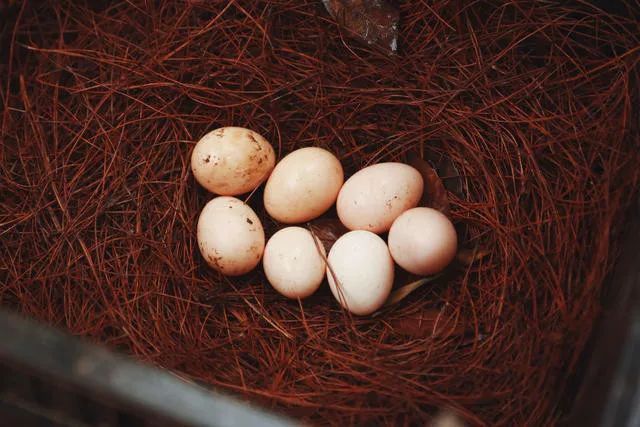 杂交构树是富硒产品吗（何为富硒产品）-硒宝网