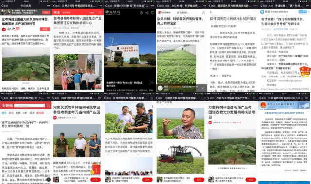 杂交构树是富硒产品吗（何为富硒产品）-硒宝网