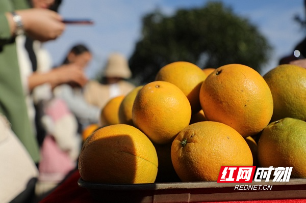 新田县富硒产品的服务（新田富硒矿泉水）-硒宝网
