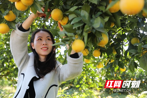 新田县富硒产品的服务（新田富硒矿泉水）-硒宝网