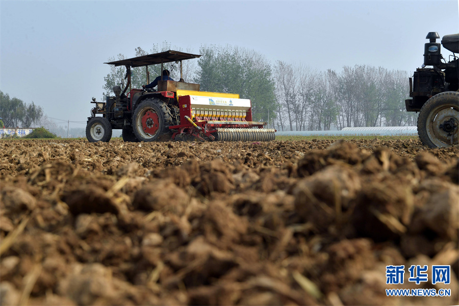 怎样种植富硒农产品呢(富硒农业)-硒宝网