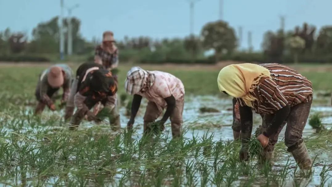 富硒农产品的保健功能（保健农富硒功能产品有哪些）-硒宝网