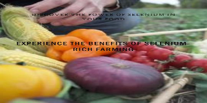 富硒农产品的保健功能（保健农富硒功能产品有哪些）-硒宝网