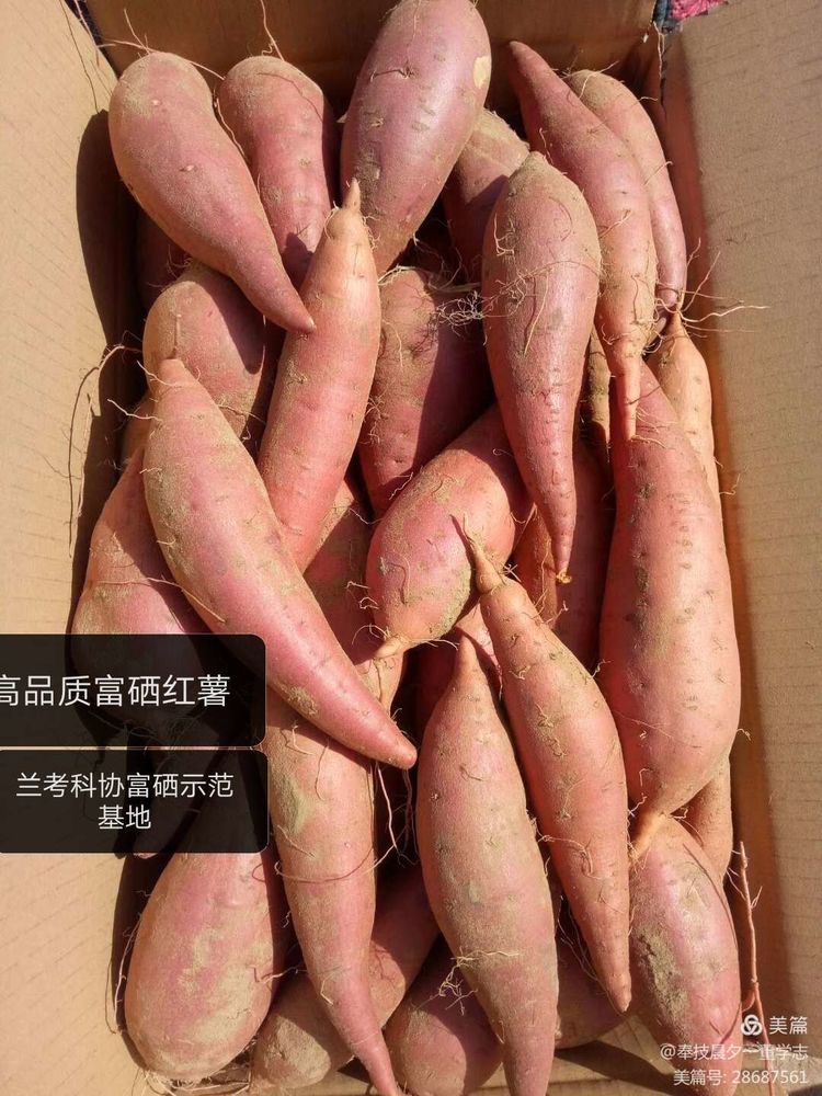 怎样种植富硒农产品呢(富硒农产品是怎么种出来的)-硒宝网