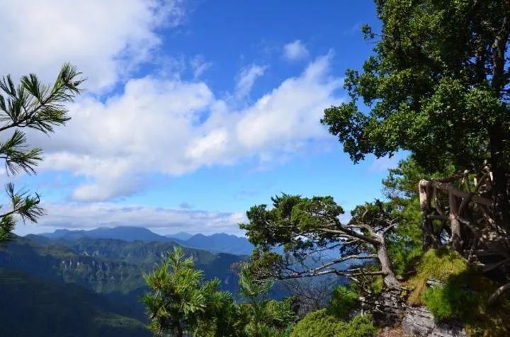 恩施有哪些富硒农产品(恩施的富硒产品价格都多少钱)-硒宝网