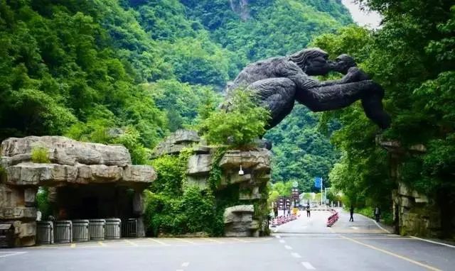 恩施有哪些富硒农产品(恩施的富硒产品价格都多少钱)-硒宝网