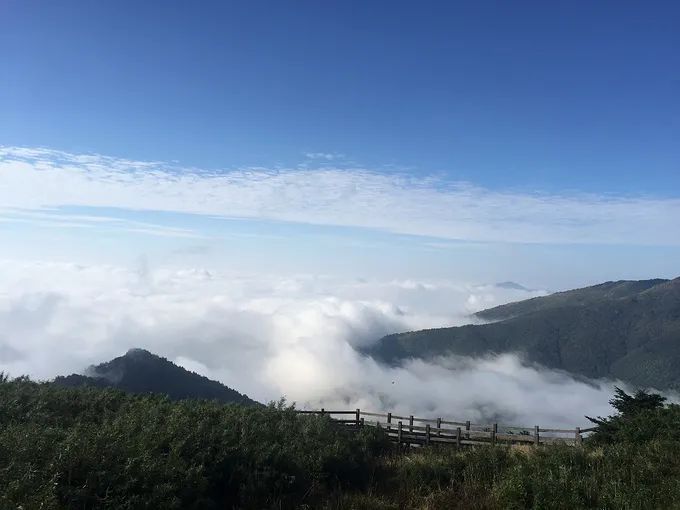 恩施有哪些富硒农产品(恩施富硒食品都有哪些)-硒宝网