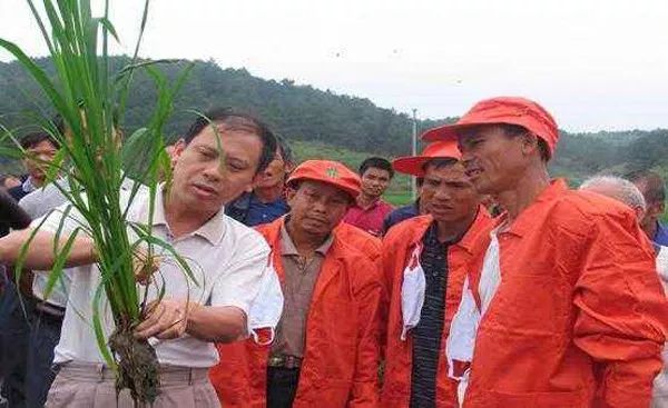 中科院研发的富硒产品（中科院研发富硒产品是真的吗）-硒宝网