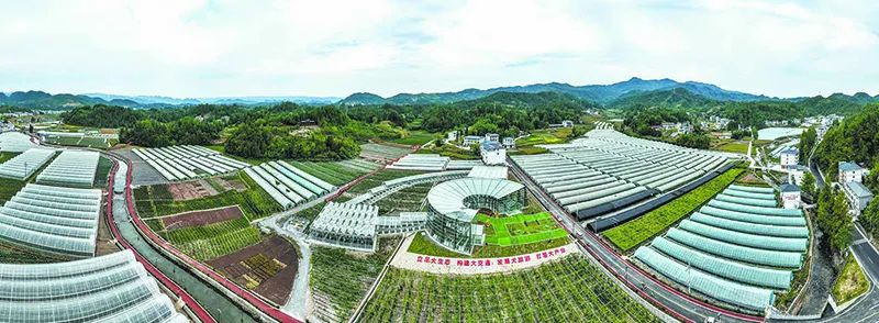 开个富硒产品店怎么样(富硒产品销售方案)-硒宝网