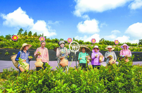 开个富硒产品店怎么样(富硒产品销售方案)-硒宝网