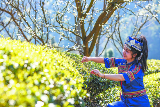 开个富硒产品店怎么样(富硒产品销售方案)-硒宝网