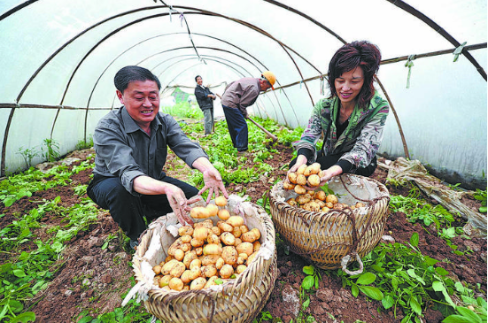 开个富硒产品店怎么样(富硒产品销售方案)-硒宝网